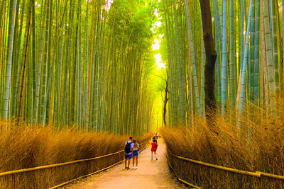 Voll Bambus! Die schönen Holzprodukte aus dem Hause Stauraum
